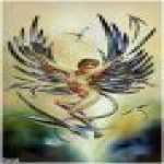 thumb_1592 (Medium).jpg